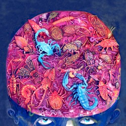 Un Nouvel Âge Réminiscent