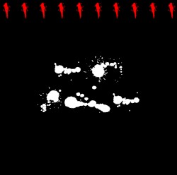 010
