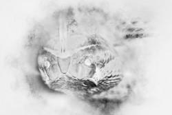 If We Were Made of Pure Poison, Then I'd Know That the Rain Will Somehow Bring You Back, but I Don't Quite Know Whether the Darkness Is a Game You Play or Is This Just a Song to Be Cried About?