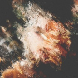 Lost in Mind (Sign bootleg)