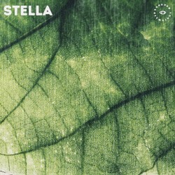 Stella