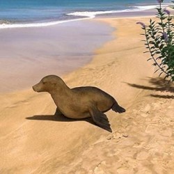 Good Morning / Not Today