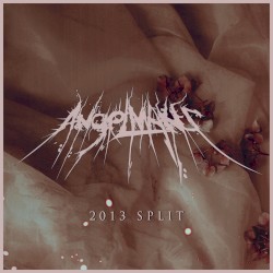 2013 Split