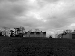 Geese Fly Over - Fairchild