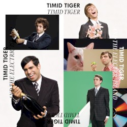 Timid Tiger and the Electric Island