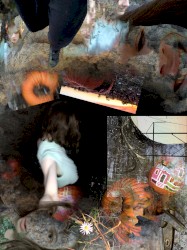 Freeroam 53 :: Fullwalk NOV.12.2024