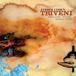 Introducing Triveni
