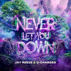 Never Let You Down (Extended Mix)