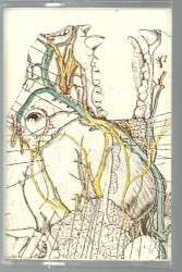 Factories Astir + Factories in Flux