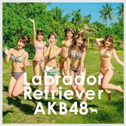 ラブラドール・レトリバー