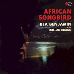 African Songbird