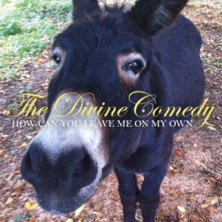 How Can You Leave Me on My Own