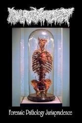 Forensic Pathology Jurisprudence