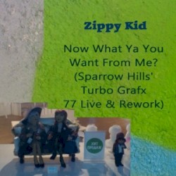Now What Ya You Want From Me? (Sparrow Hills’ Turbo Grafx 77 Live & Rework)