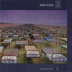 A Momentary Lapse of Reason