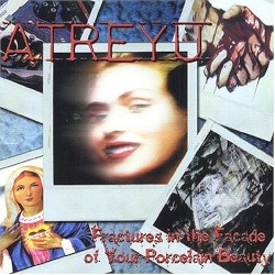 Fractures in the Facade of Your Porcelain Beauty