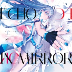 Echo In Mirror