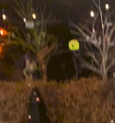 Good Morning, Private