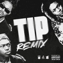 Tip (Remix)