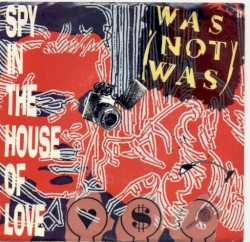 Spy in the House of Love