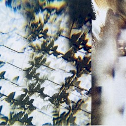 Tape Collage Piece 2011