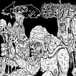 Southern as Fuck, Cunt / Engaged in Lymphophilia