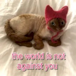 The World Is Not Against You (Demo Collection)