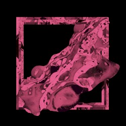 WAVE013