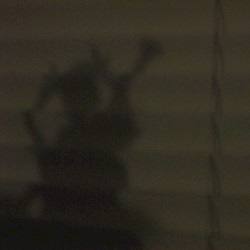 Drunk People Outside at 1:17 AM