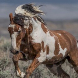 When You Love Someone