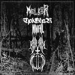 Melkor / Tjolgtjar / MMFHL / Baresark / Dark Energy