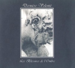 Les Blessures de l’ombre