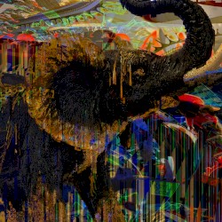 Zooがズーでも脳なんかNO