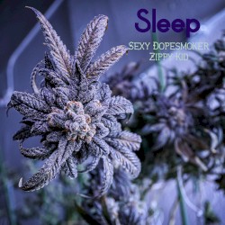 Sexy Dopesmoker Zippy Kid