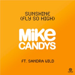 Sunshine (Fly So High)