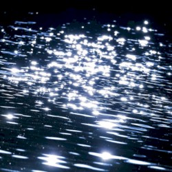 Shimmer