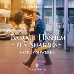 Baruch Hashem It’s Shabbos