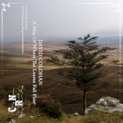 A Map of Where the Leaves Fall First