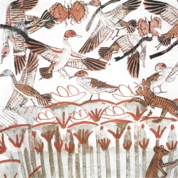 The Growing Surface E.P.