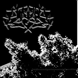 spidwtkmdemo