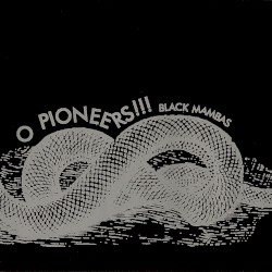 Black Mambas