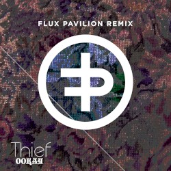 Thief (Flux Pavilion remix)