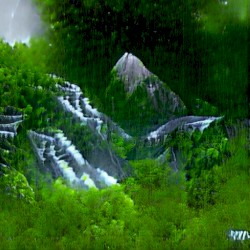 The Greenhouse Shadows