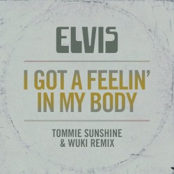 I Got a Feelin’ in My Body (Tommie Sunshine & Wuki Remix)