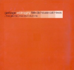 Androgyny (Felix da Housecat mixes)