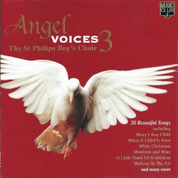 Angel Voices 3