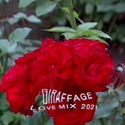Love Mix 2021