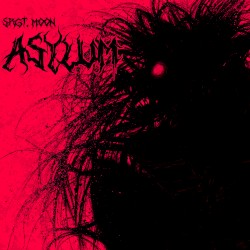 ASYLUM
