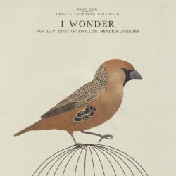 I Wonder