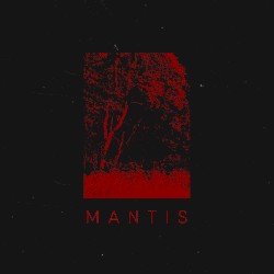 Mantis